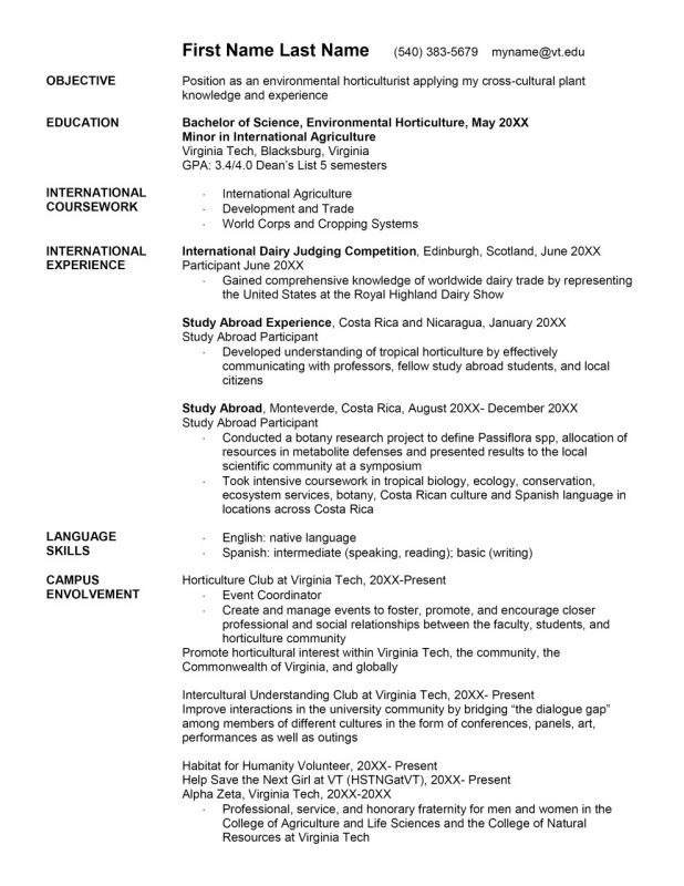 International Experience Resume